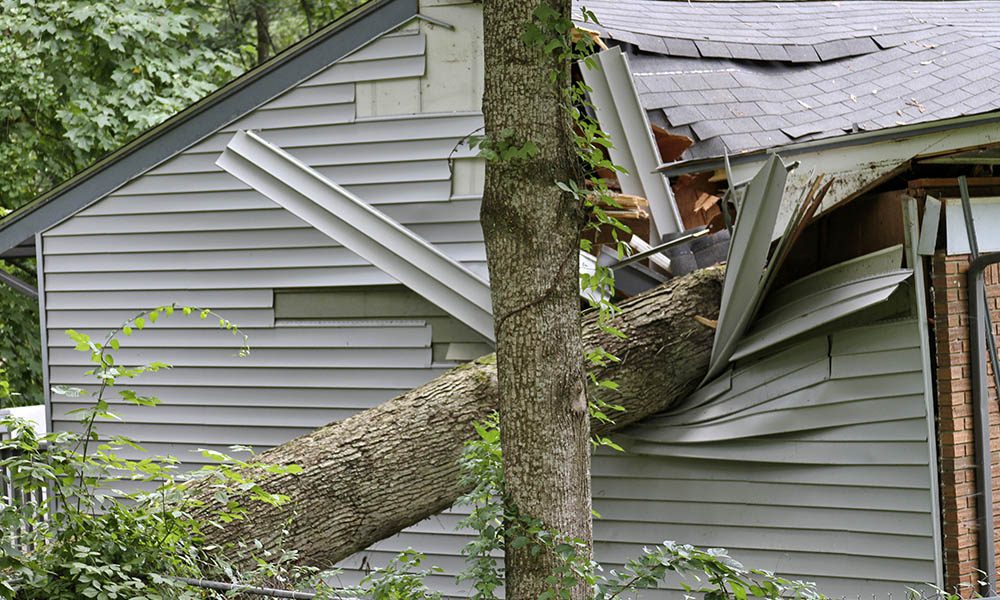 Blog - What value is your home insurance for? Is that amount correct? - Tree Fallen On A House